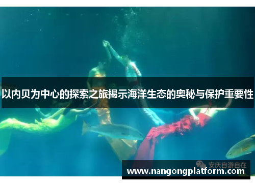 以内贝为中心的探索之旅揭示海洋生态的奥秘与保护重要性