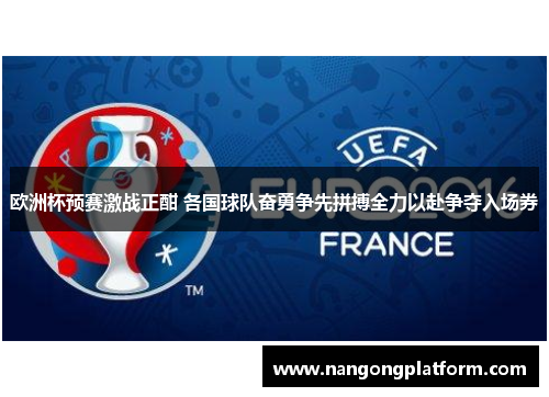 欧洲杯预赛激战正酣 各国球队奋勇争先拼搏全力以赴争夺入场券