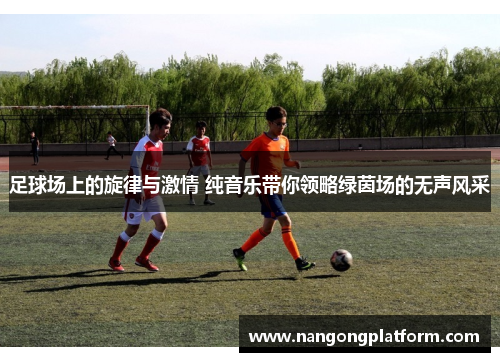 足球场上的旋律与激情 纯音乐带你领略绿茵场的无声风采