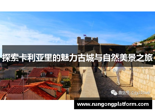 探索卡利亚里的魅力古城与自然美景之旅
