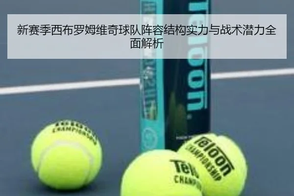 新赛季西布罗姆维奇球队阵容结构实力与战术潜力全面解析 - 新闻资讯相关报道缩略图
